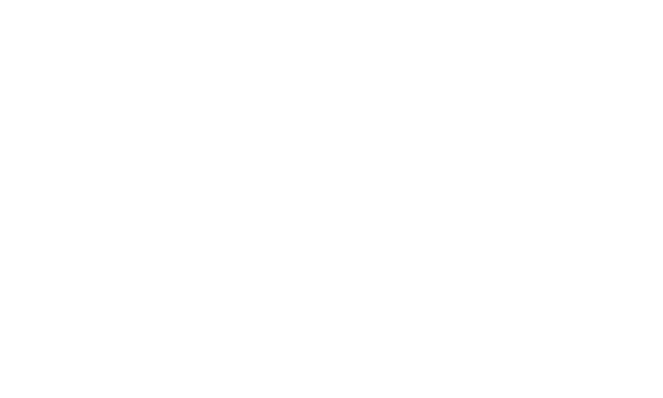 Logo des Hotel Schwanen