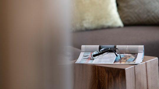 Standard Bild_0074_schwanen_0044