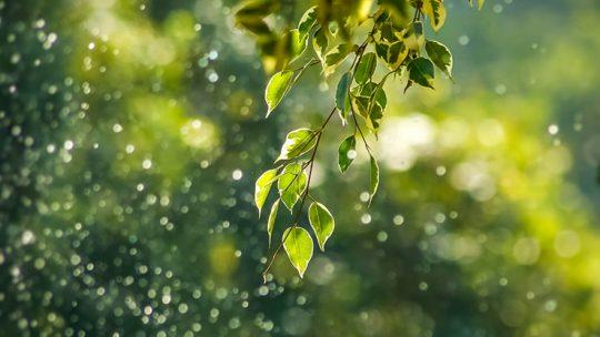 Standard Bild_0003_goutham-krishna-h5wvMCdOV3w-unsplash